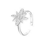 Moonstar / Ring Silver