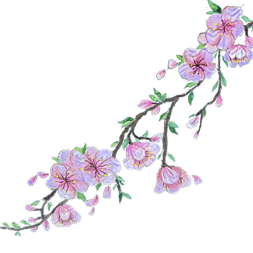 حمل صغير